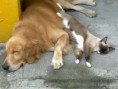 /album/fotogaleria/img-20120907-wa0001-jpg/